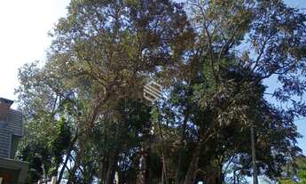 Imagem: Ótimo terreno no Bairro Jardim do Alto!