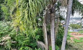 Imagem 4: Terreno com 792m. Na cidade de Campo Bom