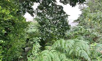 Imagem 6: Terreno com 792m. Na cidade de Campo Bom