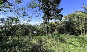 Imagem 7: Ótimo terreno próximo a Av Maurício Cardoso, excelente para um ponto comercial ou mesmo re