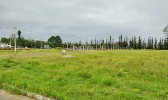 Imagem 6: Terreno à venda, 444 m² - Campo Grande - Estância Velha/RS