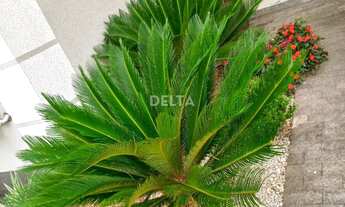 Imagem 7: Apartamento à venda em Novo Hamburgo - Porto Burnier, Operário