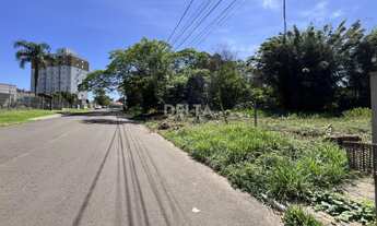 Imagem: Terreno localizado no Bairro Rondônia