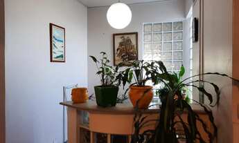 Imagem 4: Se você procura um imóvel comercial em Novo Hamburgo, temos esta Casa Comercial no Centro