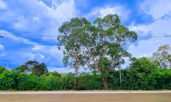 Imagem 5: Excelente terreno de 371 m² em uma das ruas mais nobres da cidade, no bairro Jardim Mauá e