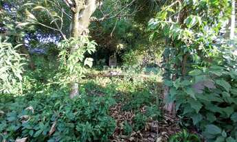 Imagem 4: Terreno do lado do Hipermercado Bourbon no Pátria Nova