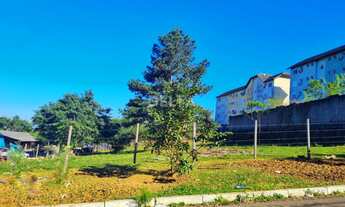 Imagem: Terreno à venda, 1446,71 m² - Bairro Rondônia