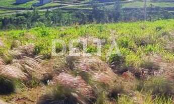 Imagem 3: Excelente Terreno Aclive com 360m² e Ótima Posição Solar – Bairro Quatro Colônias , Campo