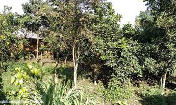 Imagem 6: Casa de 02 (dois) dormitórios no Bairro Berto círio em Nova Santa Rita