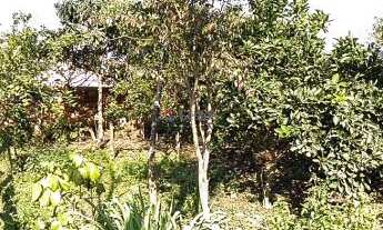 Imagem 7: Casa de 02 (dois) dormitórios no Bairro Berto círio em Nova Santa Rita