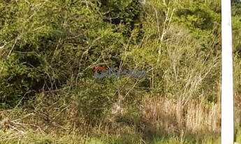 Imagem 4: Terreno em Nova Santa Rita no bairro Califórnia no Loteamento Paineiras