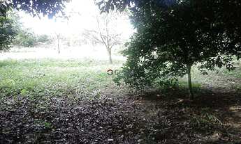 Imagem 7: Terreno em Nova Santa Rita no Bairro Cajú com 1000 m²