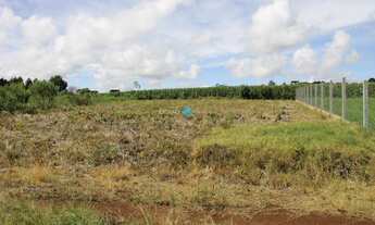 Imagem: TERRENO A VENDA NO JARDIM BRAND IRINEÓPOLIS