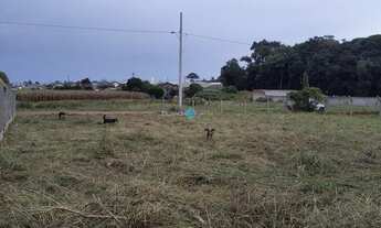 Imagem: LOTE URBANO A VENDA EM IRINEÓPOLIS