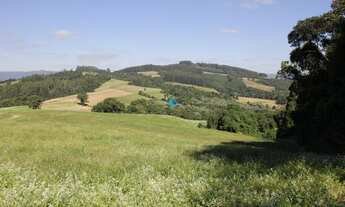 Imagem: TERRENO RURAL A VENDA NO INTERIOR DE IRINEÓPOLIS