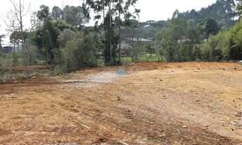 Imagem 3: LOTE URBANO A VENDA EM IRINEÓPOLIS