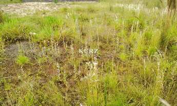 Imagem 3: ÓTIMO TERRENO, 300M² de Área Total