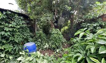 Imagem 3: Terreno no Bairro São Luis com 304m²