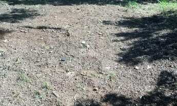 Imagem 5: Terreno no bairro São José, com 356m²