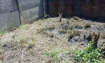 Imagem 7: Terreno no bairro São José, com 356m²