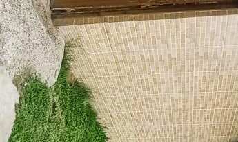 Imagem 6: Casa com 4 dormitórios próximo ao mar