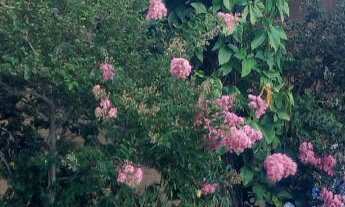 Imagem 1: Ótima casa com 4 dormitórios, 3 banheiros e piscina