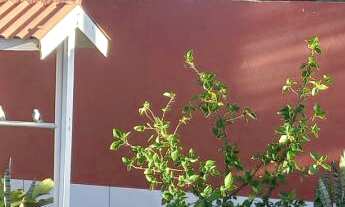 Imagem 2: Casa de alvenaria com 2 dormitórios