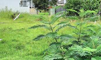 Imagem 4: Oportunidade de compra em Canoas: Terreno no bairro Mon´t Serrat!
