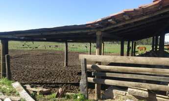 Imagem 2: Chácara em portão