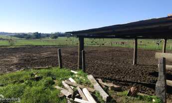 Imagem 3: Chácara em portão