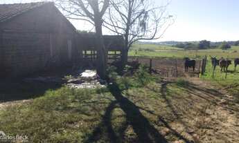 Imagem 5: Chácara em portão