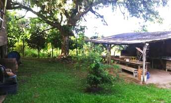 Imagem 6: Chácara / Sítio com 3 Dormitorio(s) localizado(a) no bairro Berto Cirio em Nova Santa Rit