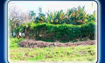 Imagem 6: Chácara / Sítio com 2 Dormitorio(s) localizado(a) no bairro Berto Cirio em Nova Santa Rit