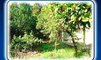 Imagem 7: Chácara / Sítio com 2 Dormitorio(s) localizado(a) no bairro Berto Cirio em Nova Santa Rit