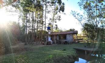 Imagem 2: Chácara / Sítio com 2 Dormitorio(s) localizado(a) no bairro em Capela de Santana / RIO G