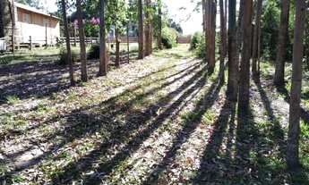 Imagem 4: Chácara / Sítio com 2 Dormitorio(s) localizado(a) no bairro em Capela de Santana / RIO G