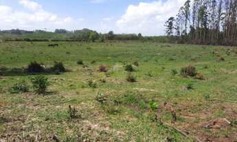 Imagem: Terreno com 5 Dormitorio(s) localizado(a)