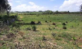 Imagem 2: Terreno com 5 Dormitorio(s) localizado(a) no bairro Boa Vista em Triunfo / Rio Grande do