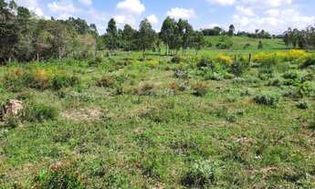 Imagem 3: Terreno com 5 Dormitorio(s) localizado(a) no bairro Boa Vista em Triunfo / Rio Grande do