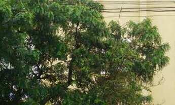 Imagem 2: Apartamento com 2 Dormitorio(s) localizado(a) no bairro Centro em Cachoeira do Sul / Rio