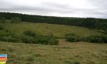 Imagem 3: Chácara com 2 Dormitorio(s) localizado(a) no bairro Rural em Cachoeira do Sul / Rio Grand