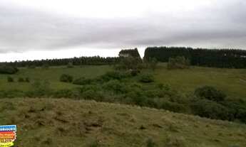 Imagem 4: Chácara com 2 Dormitorio(s) localizado(a) no bairro Rural em Cachoeira do Sul / Rio Grand