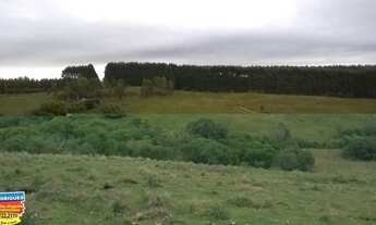 Imagem 5: Chácara com 2 Dormitorio(s) localizado(a) no bairro Rural em Cachoeira do Sul / Rio Grand