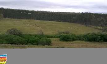 Imagem 7: Chácara com 2 Dormitorio(s) localizado(a) no bairro Rural em Cachoeira do Sul / Rio Grand