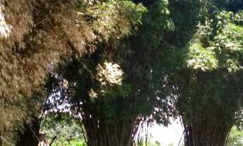 Imagem: Chácara com 2 Dormitorio(s) localizado(a)