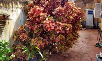 Imagem 4: Casa com 5 Dormitorio(s) localizado(a) no bairro Centro em Cachoeira do Sul / Rio Grande