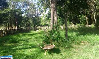 Imagem 4: Terreno com 2 Dormitorio(s) localizado(a) no bairro PRADO em Cachoeira do Sul / Rio Grand