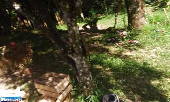 Imagem 5: Terreno com 2 Dormitorio(s) localizado(a) no bairro PRADO em Cachoeira do Sul / Rio Grand