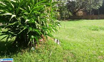 Imagem 7: Terreno com 2 Dormitorio(s) localizado(a) no bairro PRADO em Cachoeira do Sul / Rio Grand