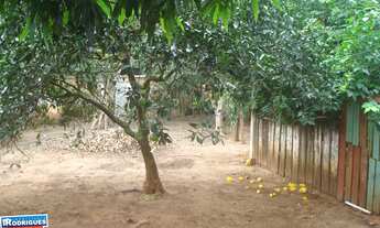 Imagem: Terreno com 3 Dormitorio(s) localizado(a)